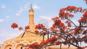 Read more about the article Honoring the Buddha Day 2019