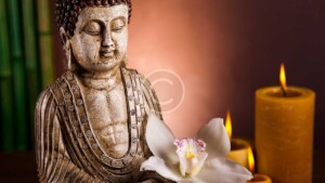 Read more about the article Kundalini Yoga to Melt Unhealthy Habits